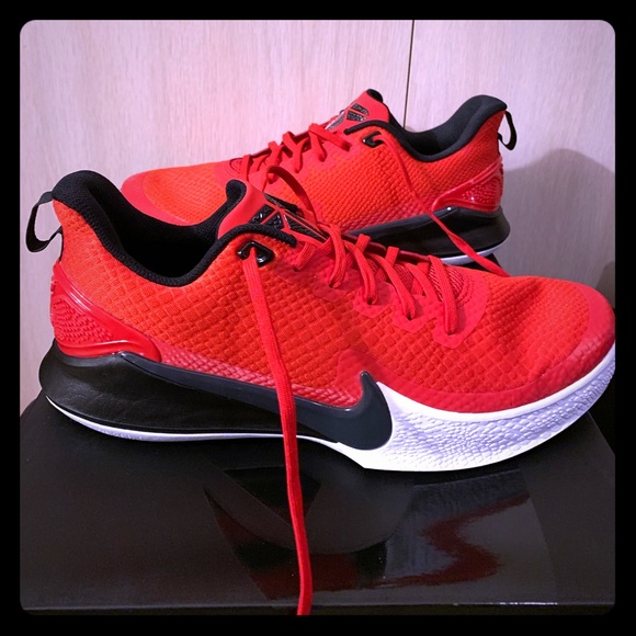 mamba focus snakeskin